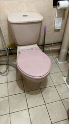 Blk 684C Choa Chu Kang Crescent (Choa Chu Kang), HDB 5 Rooms #475541341